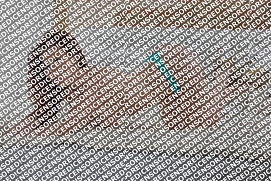 Anna - Escort lady London 4