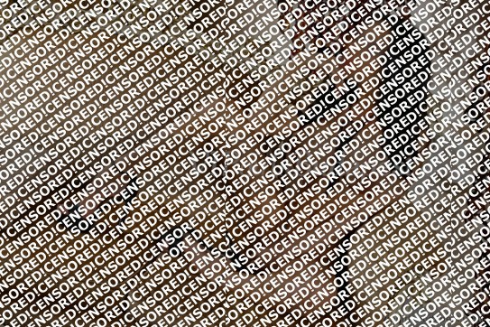 Ariana - Escort lady Budapest 4