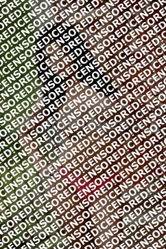 Venus - Escort lady Budapest 3