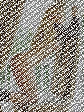 Candice - Escort lady Amsterdam 3