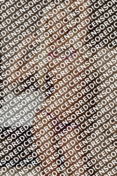 Arina - Escort lady Amsterdam 3