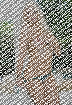 Nikki v - Escort lady Amsterdam 4