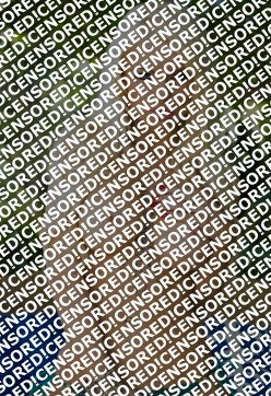 Nikki v - Escort lady Amsterdam 5