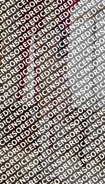 Alina - Escort lady Paris 4