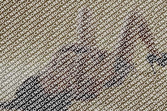 Desi - Escort lady Sofia 3