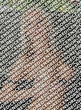 Lillie - Escort lady London 3