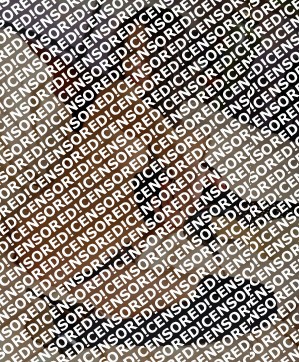 Asia- escort in zurich - Escort lady Zurich 2