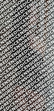 Asia- escort in zurich - Escort lady Zurich 4