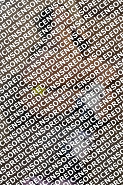 Lina - Escort lady Brussels 4