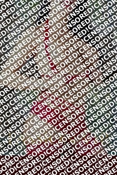 Kristen - Escort lady Birmingham EN 2