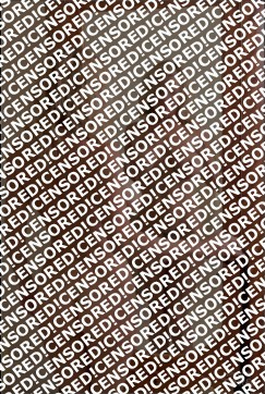 Heather west - Escort lady Chicago 2