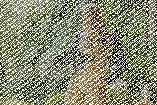 Anny - Escort lady Madrid 2