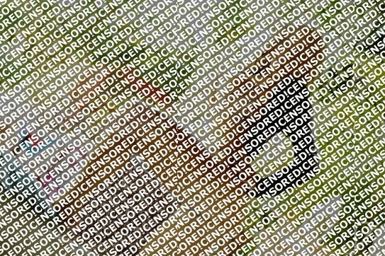 Anny - Escort lady Madrid 3