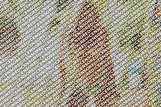 Anny - Escort lady Madrid 4