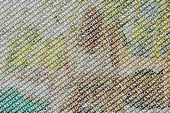 Anny - Escort lady Madrid 5