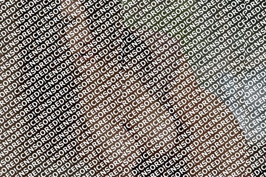 Sophia - Escort lady Amsterdam 2