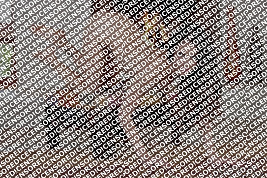 Elsa - Escort lady Amsterdam 4