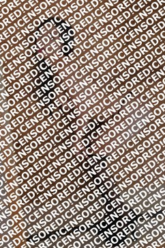 SETSUKO - Escort lady Tokio 3