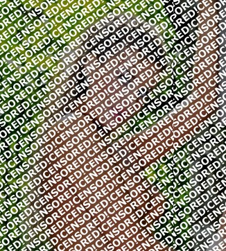 Anne - Escort lady Paris 2