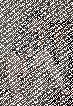 Tamara - Escort lady Frankfurt 2