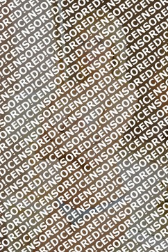 Jessica - Escort lady Prague 2