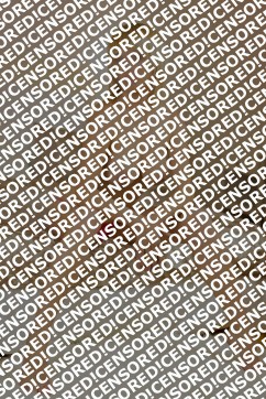 Jessica - Escort lady Prague 4