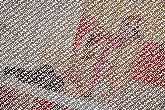 Erika - Escort lady London 5